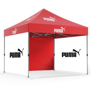 10' x 10' (Frame + Roof + 3 Full Walls)