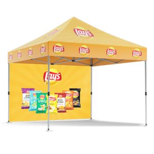 10' x 10' (Frame + Roof + Back Wall)